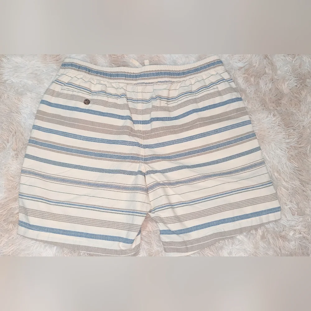 NWT, O'Neill Low-Key Striped Shorts -Elastic Waist - Men's Size XL - Picture 2 of 6